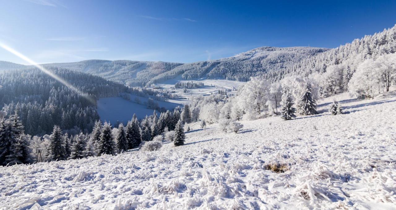 Stronie Śląskie Kosowka Czarna Gora Bed & Breakfast エクステリア 写真
